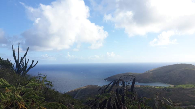 arial view of the ocean in hawaii
