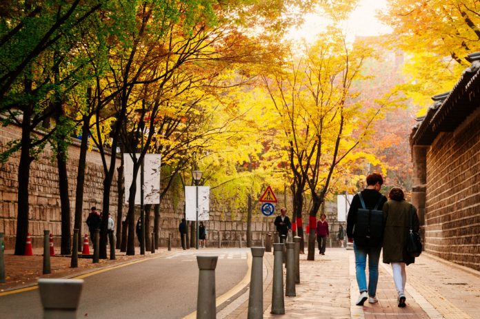 couple walking on city streets of korea