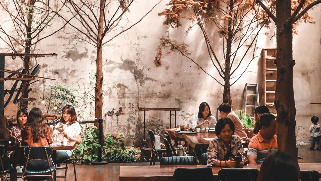 inside a cool cafe in korea that has its own unique vibe and culture with indoor trees.