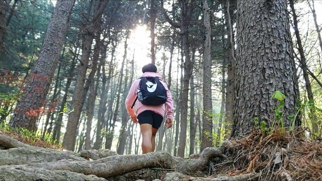 A man hiking up a trail in the woods in Korea.