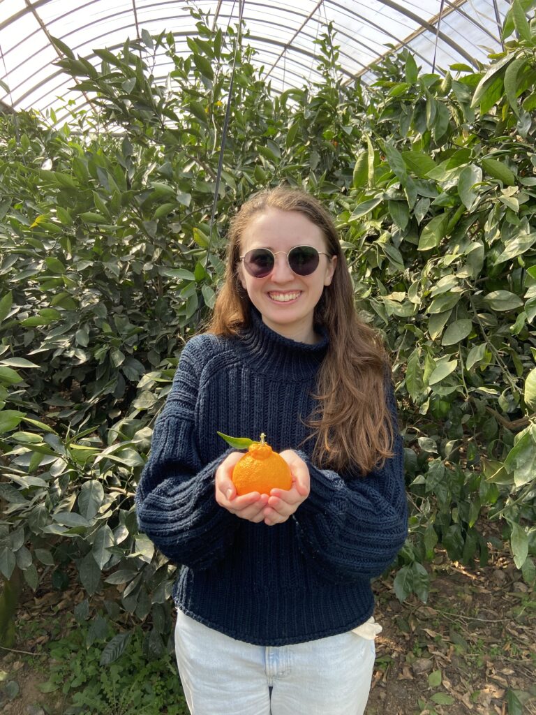 An English teacher holding a freshly picked Hallabong orange on Jeju Island