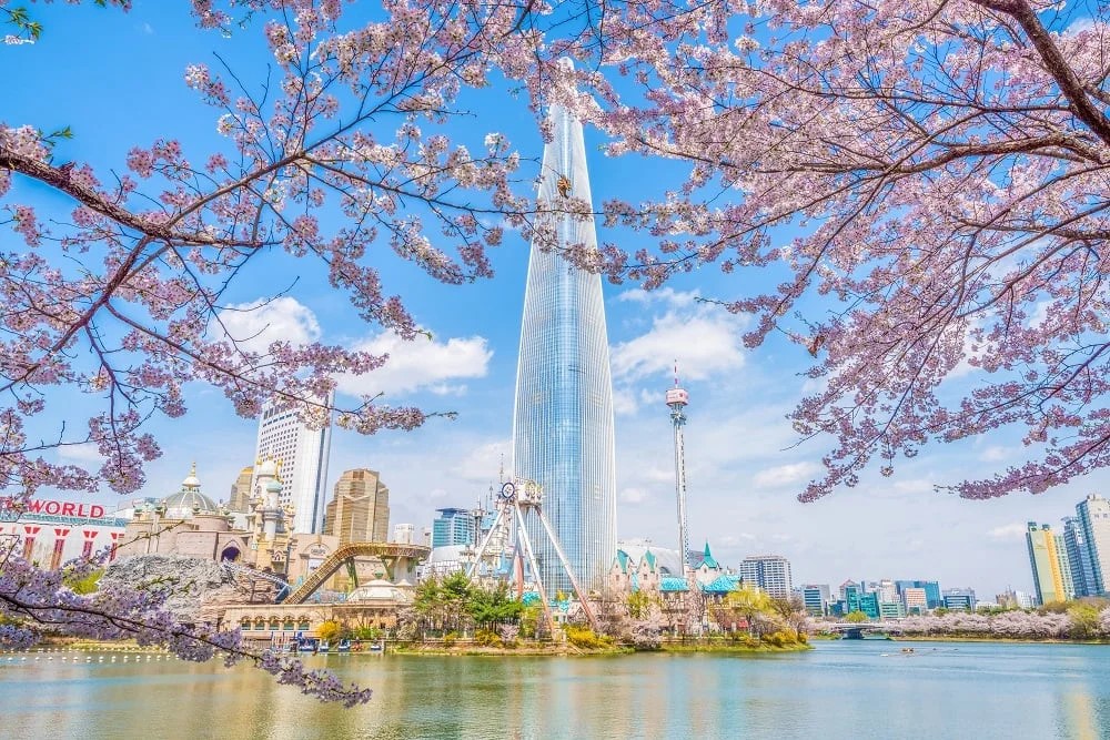 Lotte Tower seen through Cherry Blossom tree branches and Seokchon Lake in South Korea